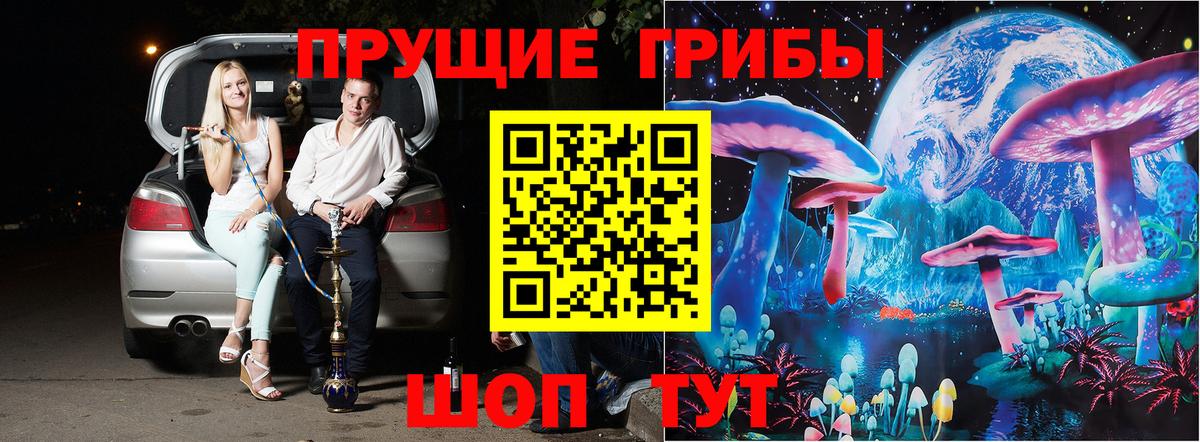 Псилоцибиновые грибы GOLDEN TEACHER Воркута