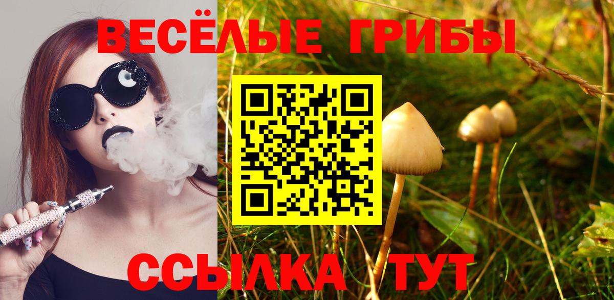 Галлюциногенные грибы Psilocybine cubensis  Вход с VPN  Галлюциногенные грибы прущие грибы  Воркута 